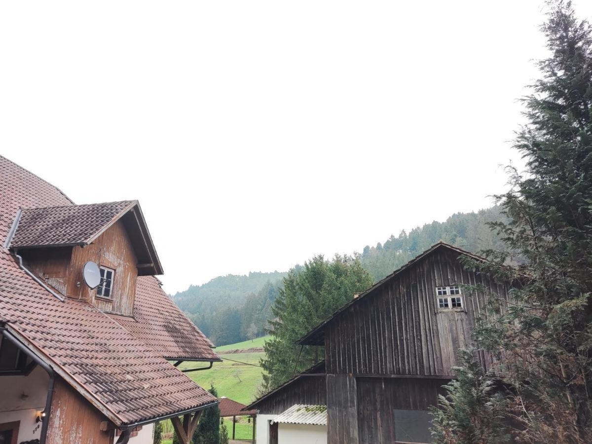 זילבך Geraeumige Wohnung Im Schwarzwald מראה חיצוני תמונה