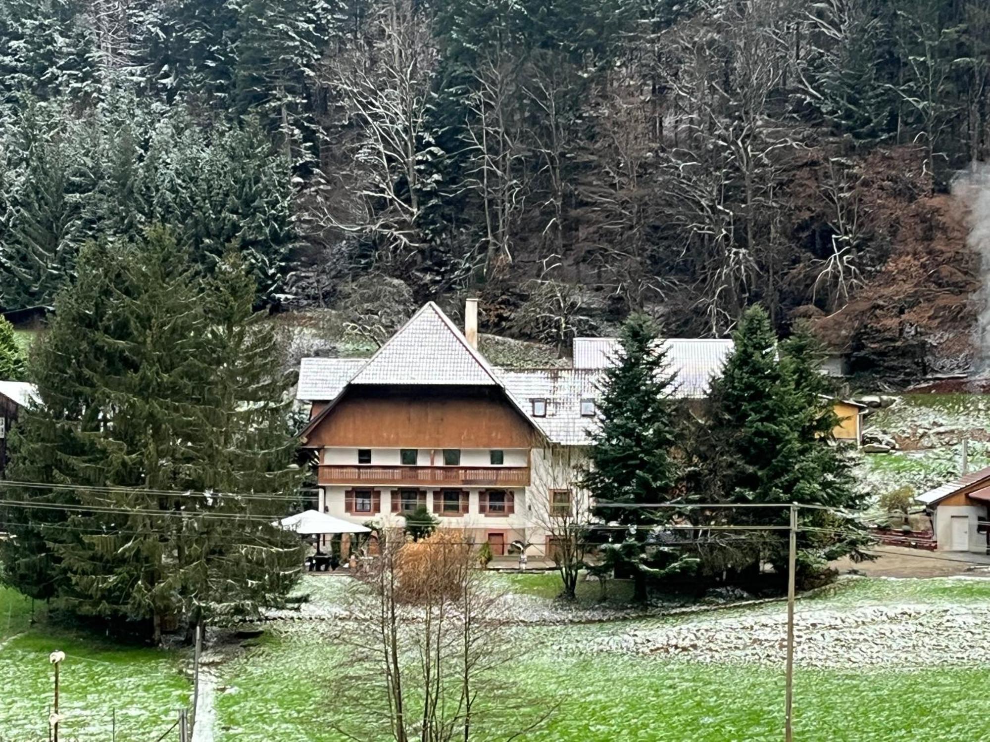 זילבך Geraeumige Wohnung Im Schwarzwald מראה חיצוני תמונה